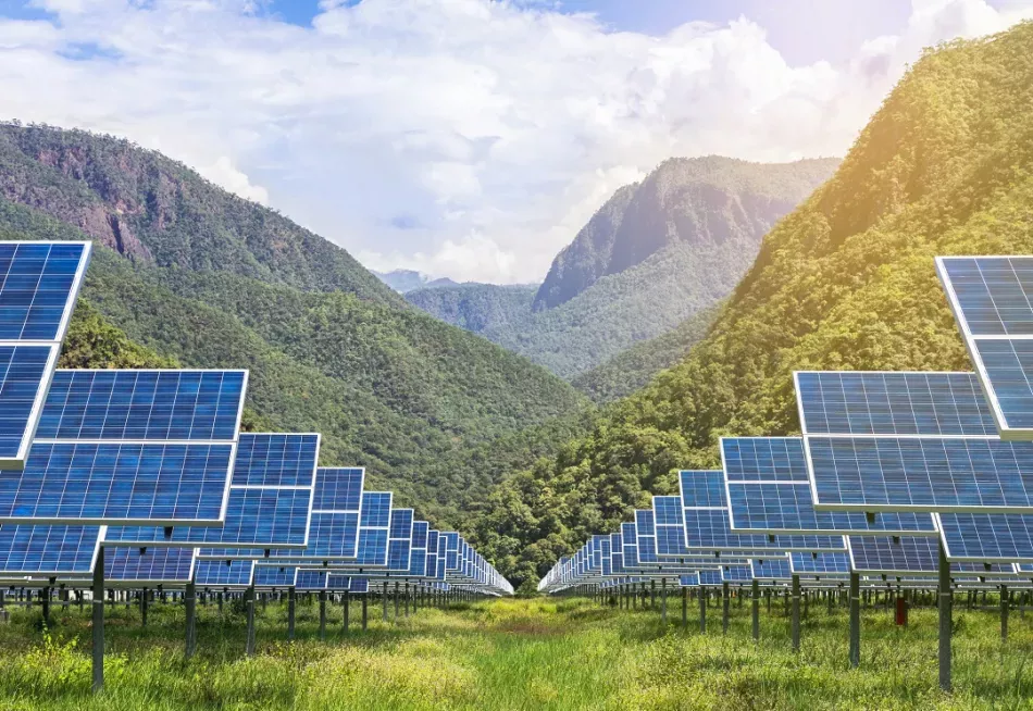 champ de panneaux solaires