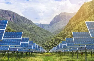 champ de panneaux solaires