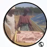 Fatou Sarr